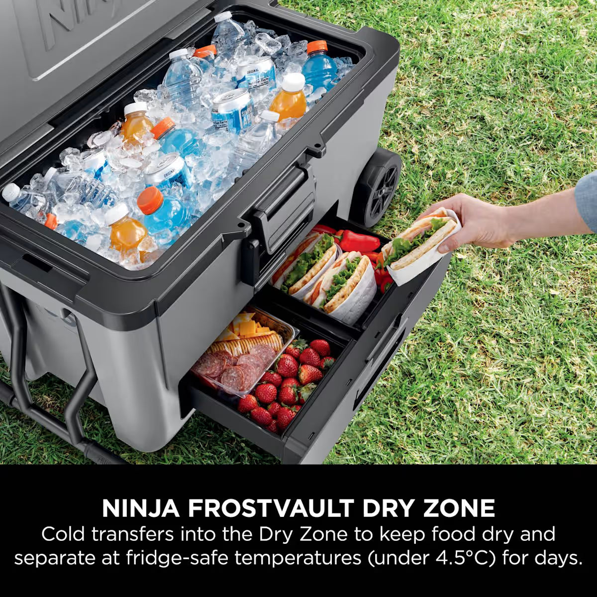 Ninja FrostVault 65QT/61L Wheeled Cooler with Dry Zone, Slate Grey FB265EUUKGY