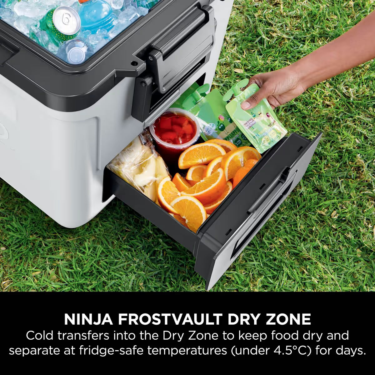 Ninja FrostVault 30QT/28L Wheeled Cooler with Dry Zone, Cloud White FB230UKWH