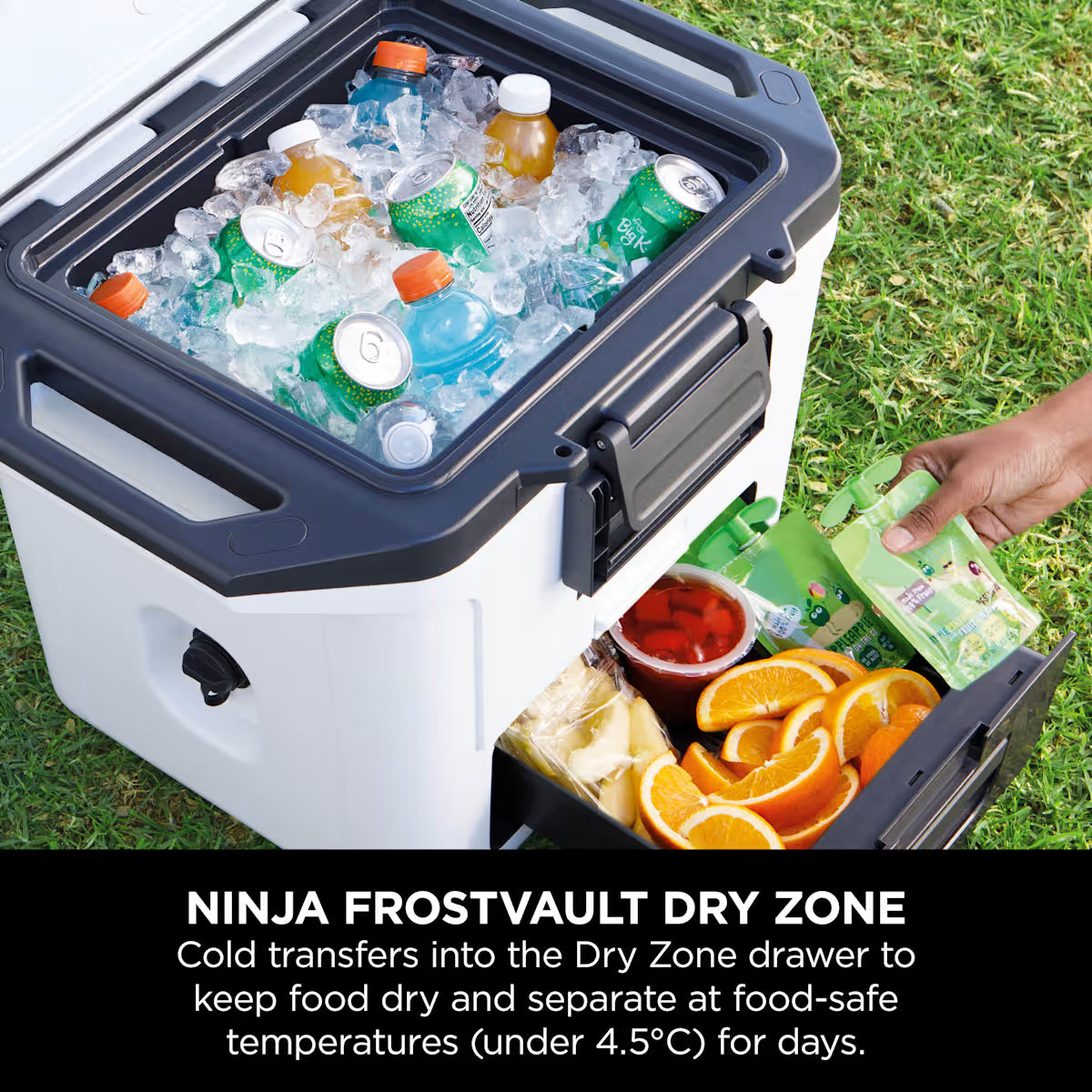 Ninja FrostVault 30QT/28L Cooler, Ice Pack & Thirsti Bottle Bundle