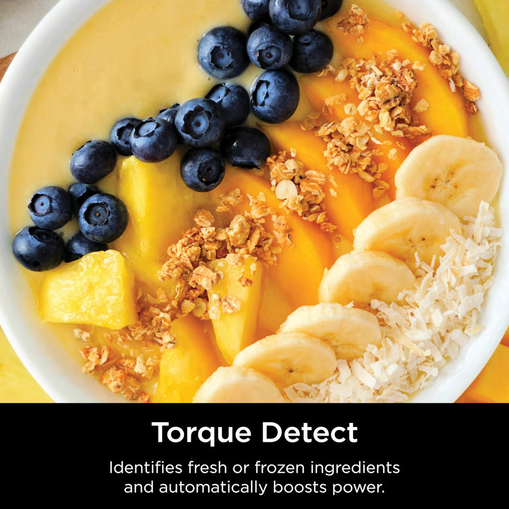 Ninja Detect Blender Pro TB201UK