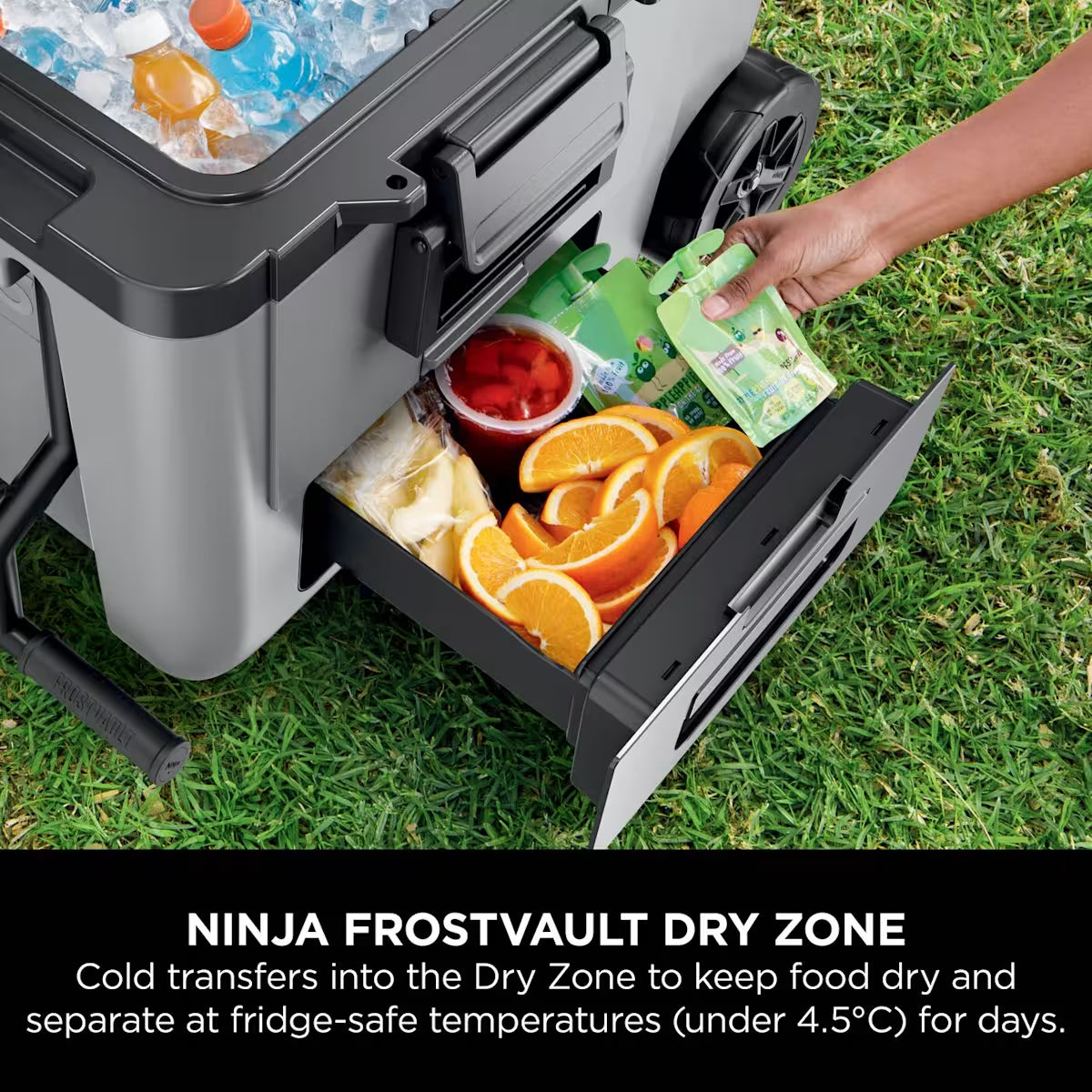 Ninja FrostVault 45QT/42L Wheeled Cooler with Dry Zone, Slate Grey FB245UKGY