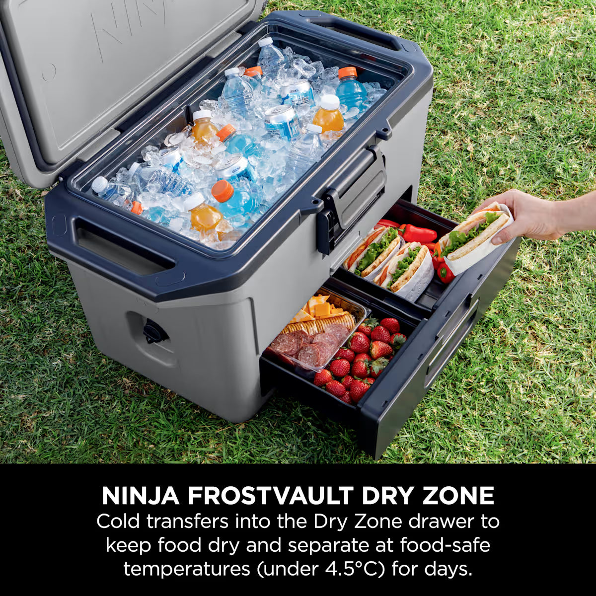 Ninja FrostVault 50QT/47L Hard Cooler - Slate Grey FB151UKGY
