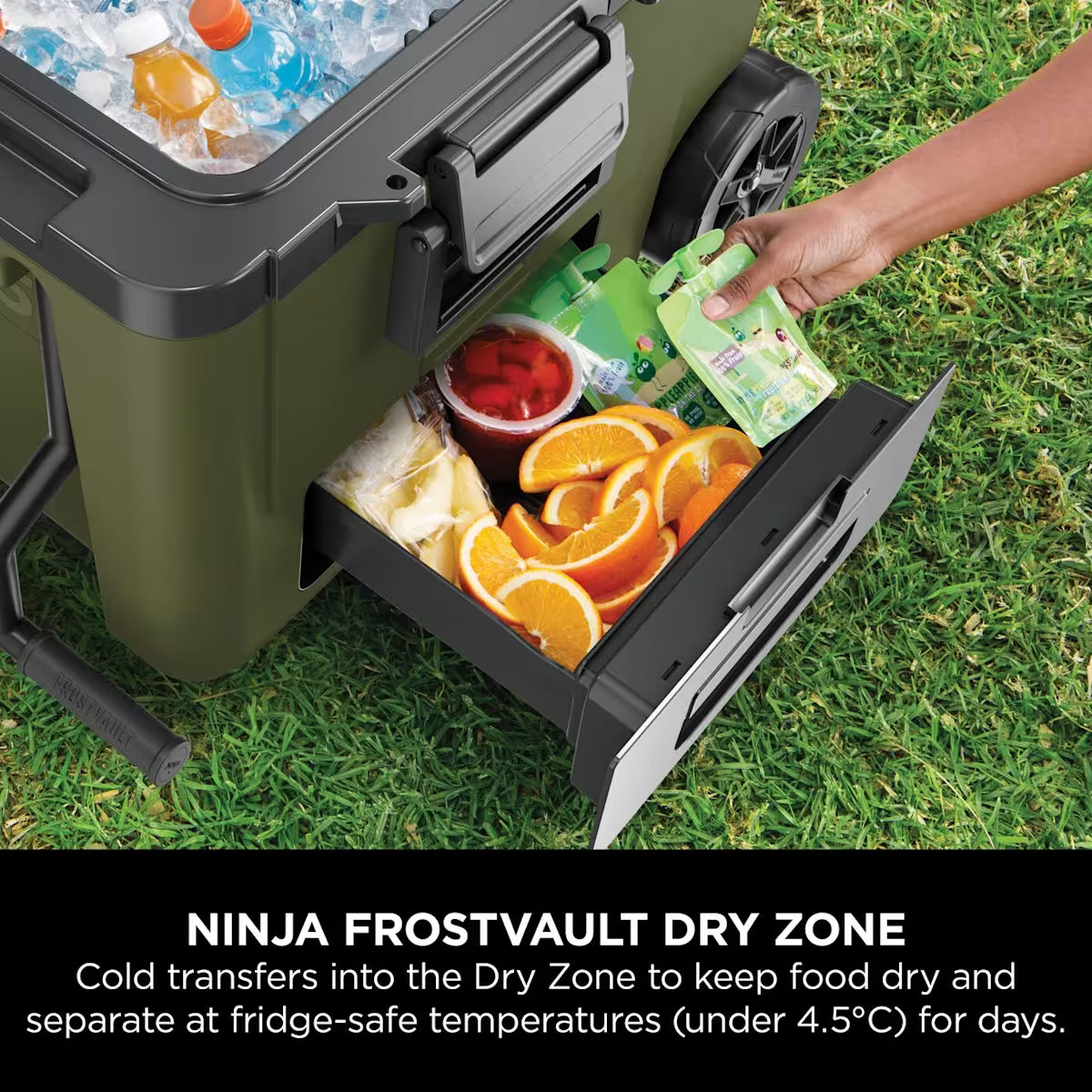 Ninja FrostVault 45QT/42L Wheeled Cooler with Dry Zone ¨C Olive FB245EUUKDBGN
