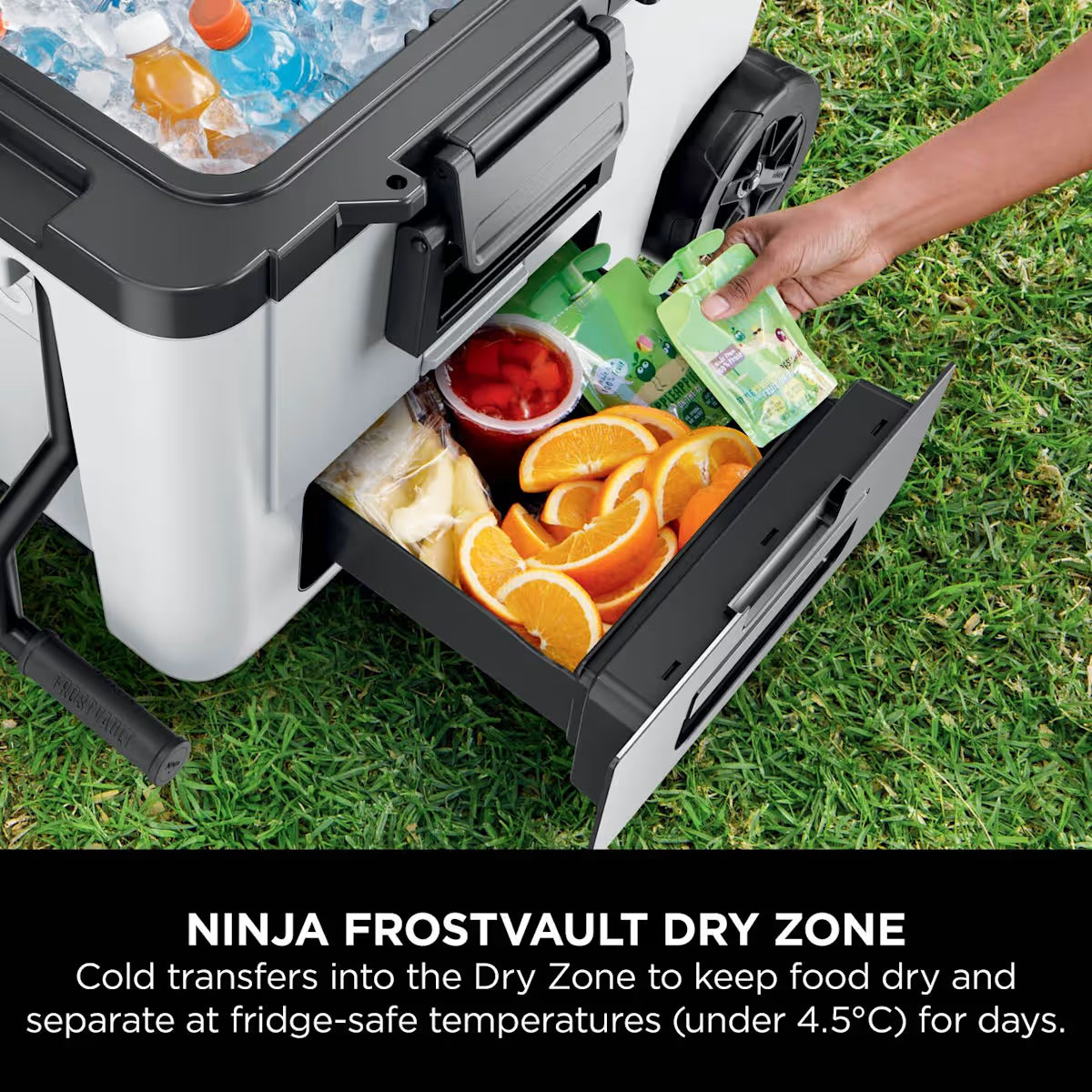 Ninja FrostVault 45QT/42L Wheeled Cooler, Ice Pack & Thirsti Bottle Bundle