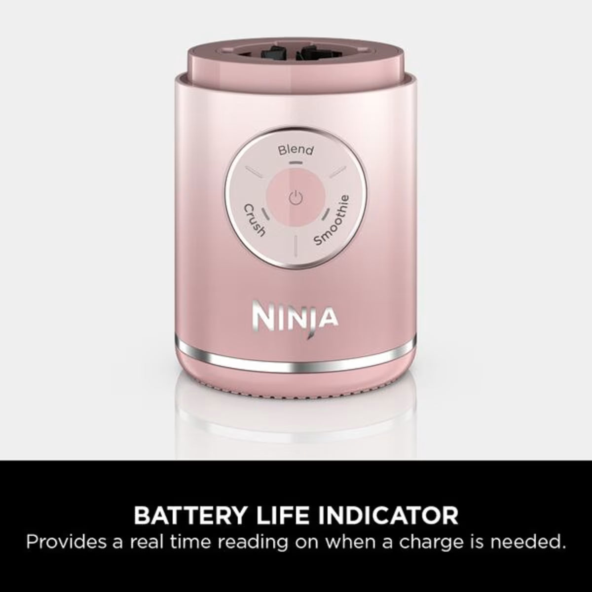 Ninja Blast Max Portable Blender - Dusty Pink BC251UKPK